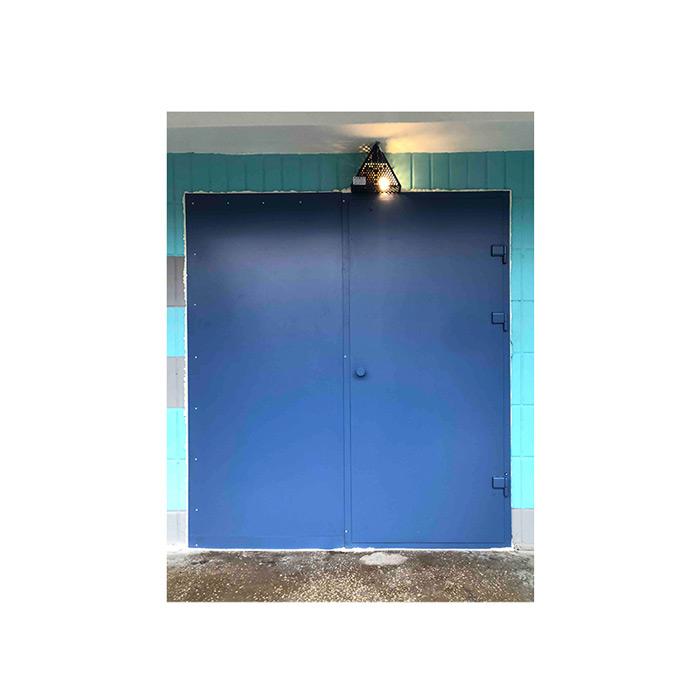 Двері домофонні Standart